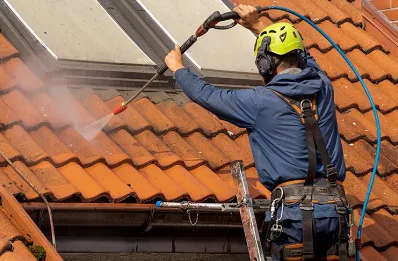 Démoussage et hydrofuge de toiture à Latour